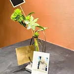 Aux Platanes - Duplex Neuf En Rez De Jardin