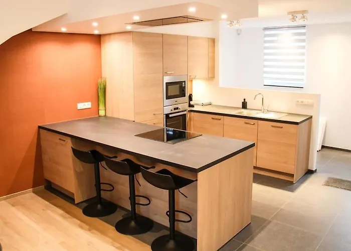 Aux Platanes - Duplex Neuf En Rez De Jardin Appartement *