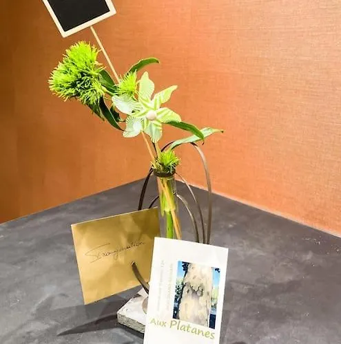 Aux Platanes - Duplex Neuf En Rez De Jardin